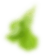 lechuga